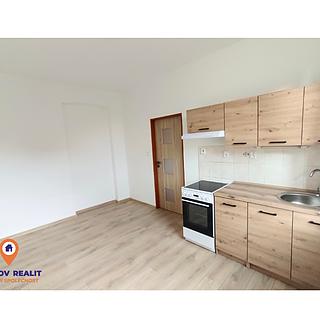 Pronájem bytu 1+kk a garsoniéry 20 m² Zábřeh, Havlíčkova