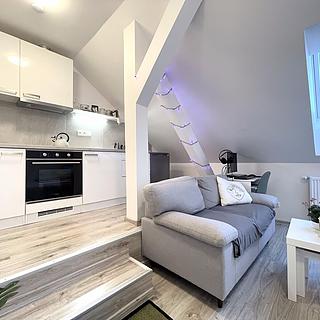 Pronájem bytu 1+kk a garsoniéry 29 m² Olomouc Pavlovičky, Pavlovická