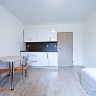 Prodej ostatního komerčního prostoru 23 m² Loučná nad Desnou