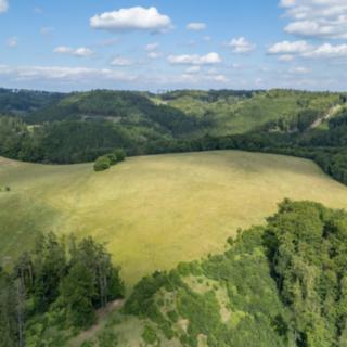 Prodej zemědělské půdy 73836 m² Městečko Trnávka