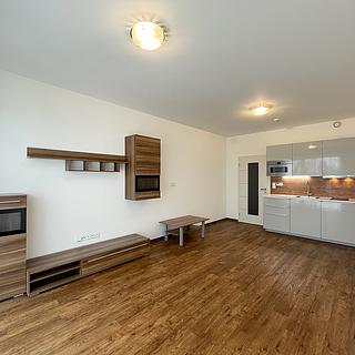 Pronájem bytu 1+kk a garsoniéry 35 m² Olomouc Nové Sady, Rokycanova
