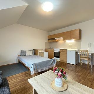 Pronájem bytu 1+kk a garsoniéry 25 m² Olomouc Nová Ulice, Balcárkova