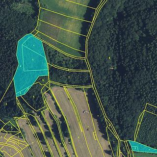 Prodej lesa 11 901 m² Drozdov