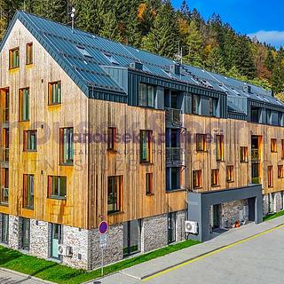 Prodej bytu 1+kk, garsoniery 46 m² Vrchlabí