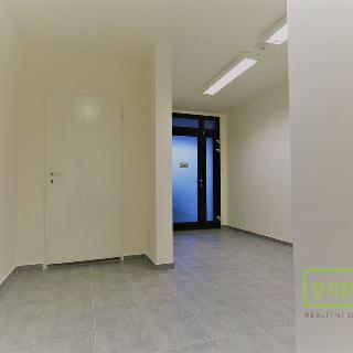 Pronájem kanceláře 22 m² Praha