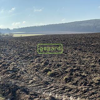 Prodej zemědělské půdy 8333 m² Moravské Knínice
