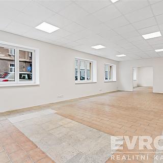 Pronájem ostatního komerčního prostoru 150 m² Praha Libeň, V zahradách