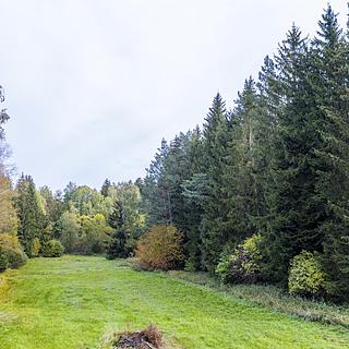 Prodej lesa 2 232 m² Všeradov