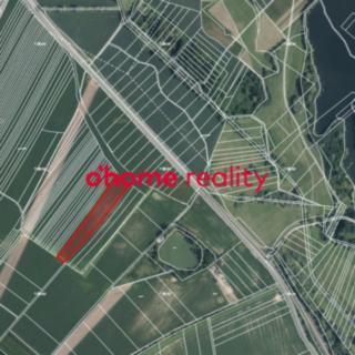 Prodej zemědělské půdy 12 416 m² Horka nad Moravou