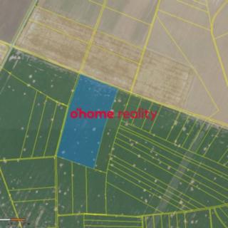 Prodej zemědělské půdy 39 414 m² Křelov-Břuchotín