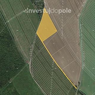Prodej zemědělské půdy 2 064 m² Velká nad Veličkou