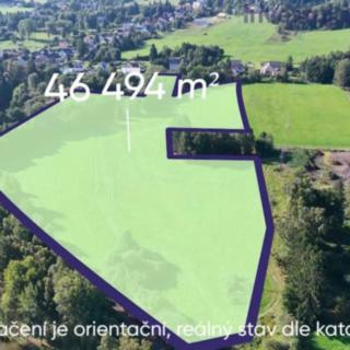 Prodej louky 46494 m² Krásná Lípa