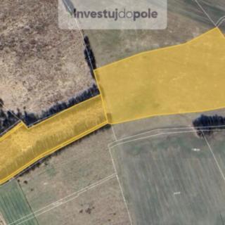Prodej zemědělské půdy 19 630 m² Křešice Zahořany