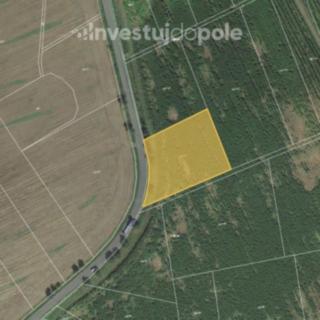 Prodej zemědělské půdy 4 955 m² Oselce