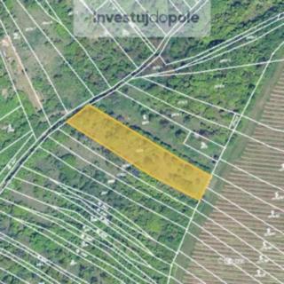 Prodej zemědělské půdy 1973 m² Židlochovice