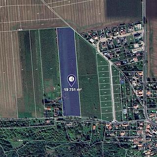 Prodej zemědělské půdy 8 230 m² Máslovice