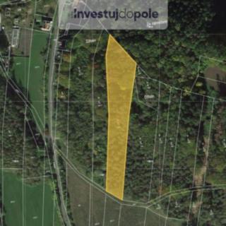 Prodej lesa 6 819 m² Mutějovice