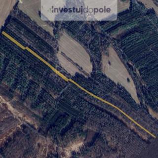 Prodej lesa 11 657 m² Šanov