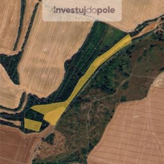 Prodej zemědělské půdy 8 967 m² Slatinky