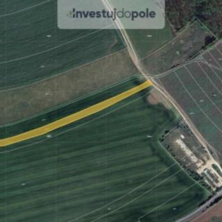 Prodej zemědělské půdy 1 941 m² Nelahozeves Lešany