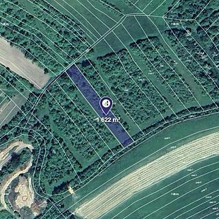 Prodej louky 1622 m&sup2; Dambořice