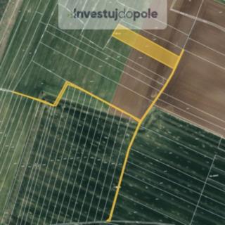 Prodej zemědělské půdy 1 530 m² Klešice