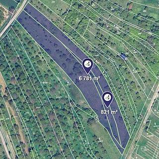 Prodej zemědělské půdy 7602 m² Židlochovice