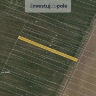 Prodej zemědělské půdy 1660 m² Pačlavice