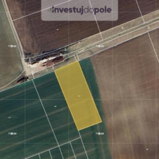 Prodej podílu zemědělské půdy 5770 m² Smidary