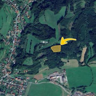 Prodej lesa 4 815 m² Hovězí