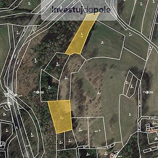 Prodej lesa 3 539 m² Proseč Česká Rybná