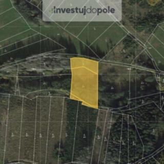 Prodej louky 4 174 m² Vápovice