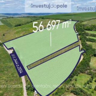 Prodej ostatního pozemku 56 697 m² Šardice
