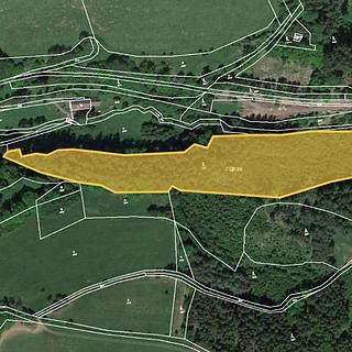 Prodej lesa 17 451 m² Trutnov Starý Rokytník