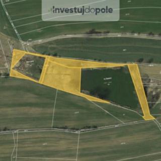 Prodej louky 7 776 m² Osek Malá Turná