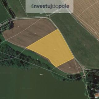 Prodej zemědělské půdy 8 812 m² Ujkovice