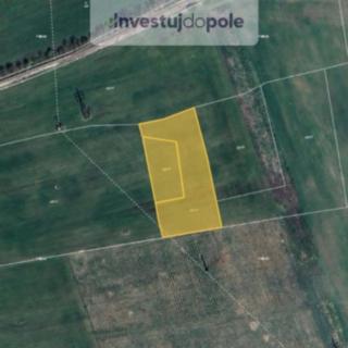 Prodej zemědělské půdy 5 708 m² České Budějovice 2