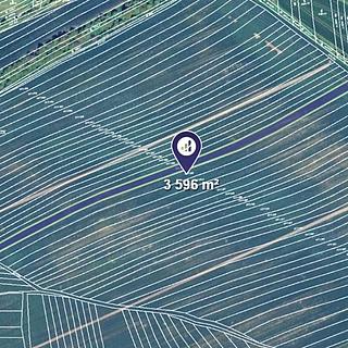 Prodej zemědělské půdy 3596 m² Nosislav