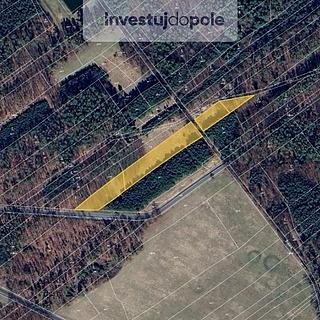 Prodej zemědělské půdy 3 343 m² Krakovany