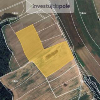 Prodej zemědělské půdy 5 742 m² Dolany