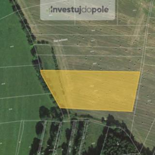 Prodej zemědělské půdy 14 689 m² Strašín Věštín