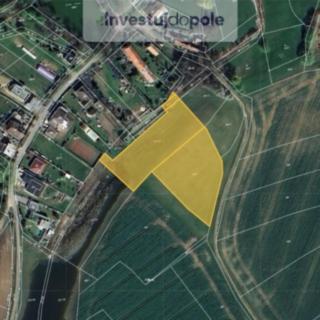 Prodej zemědělské půdy 7 648 m² Živanice