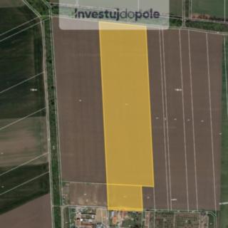 Prodej podílu zemědělské půdy 65080 m² Hrušovany nad Jevišovkou