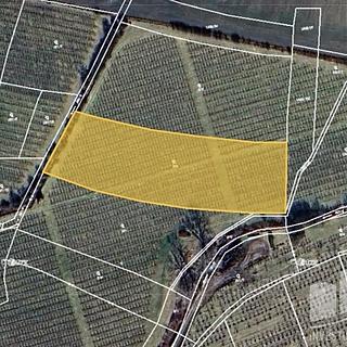 Prodej zemědělské půdy 3 705 m² Liběšice Dolní Řepčice