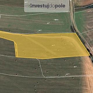 Prodej zemědělské půdy 16 500 m² Dolany