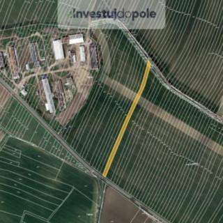 Prodej zemědělské půdy 3757 m² Borkovany