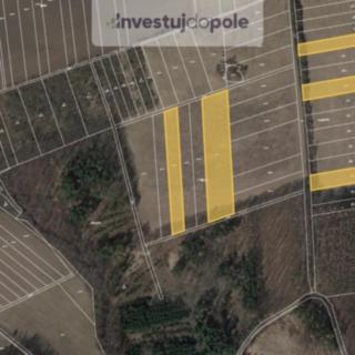 Prodej zemědělské půdy 66 728 m² Roštín