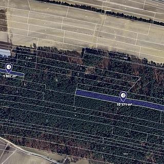 Prodej lesa 11978 m&sup2; Stará Lysá