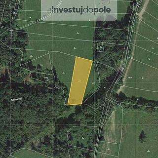 Prodej louky 3 979 m² Neurazy Nová Ves u Nepomuka