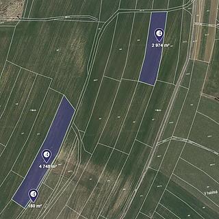 Prodej zemědělské půdy 7 902 m² Píšť